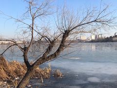 -长春市南湖公园