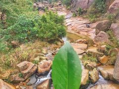 -大罗山风景区