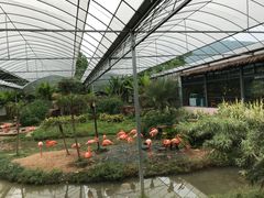 景点-无锡动物园·太湖欢乐园