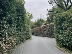 -中国茶叶博物馆(双峰馆区)