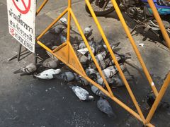 -唐人街(耀华力路)