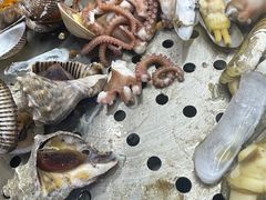 -九层海鲜塔(市南店)
