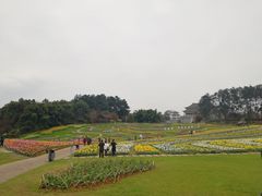 -保利石象湖景区