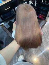 -藤野造型