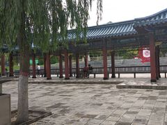 -雁滩公园