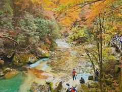 -光雾山旅游景区
