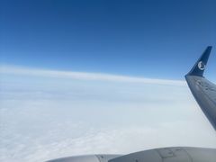 -青岛胶东国际机场