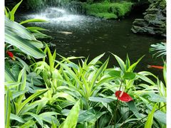 -白天鹅宾馆·流浮阁咖啡厅