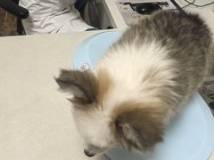-美联众合24小时·皮肤科·外科·全科诊疗中心(华苑分院)