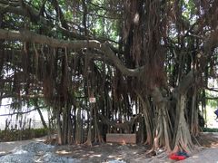 -胡里山炮台