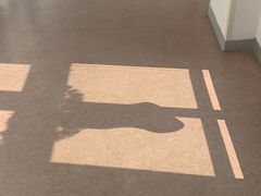 -上海德威外籍人员子女学校(浦西校区)