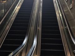 -大龙山(地铁站)