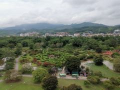 -中国科学院西双版纳热带植物园