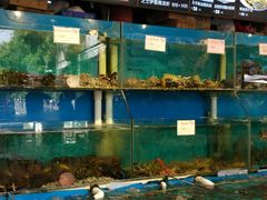 水产区-香山家宴