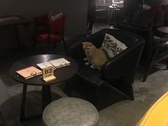 -咖法森林·咖啡  酒吧(天河店)