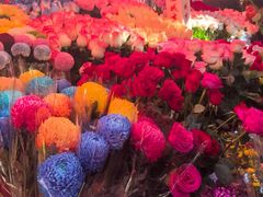 -越秀西湖花市(广州城市广场花卉店)