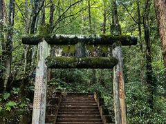-武夷山风景名胜区-玉女峰
