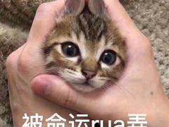 -大宁国际商业广场-地下停车库