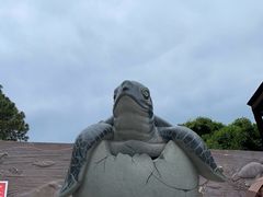 -广东惠东海龟国家级自然保护区