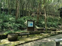 -富春桃源风景区