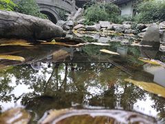 -包公祠