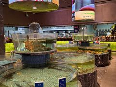 -百姓渔村(南中环店)