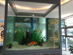 -漩门湾国家湿地公园