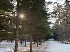 -长春市南湖公园