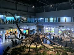 -自贡恐龙博物馆
