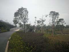 -宝安西湾红树林湿地公园