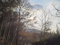 -北高峰