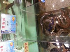 android_upload_pic-渔民新村(番禺总店)