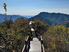 -大岭沟猕猴桃谷风景区