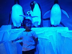 -成都浩海立方海洋公园