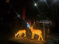 -天门沟九州驿站树上汤泉