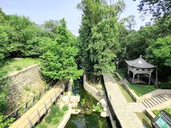 -白水寺森林公园