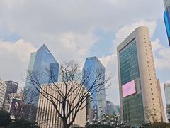 -乐天免税店(明洞店)