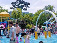 -苏州乐园森林水世界