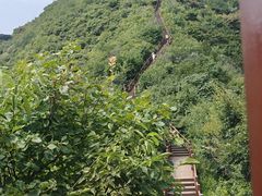 -大岭沟猕猴桃谷风景区