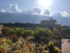 -喵屿·大理花园猫咖