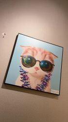 -洗脸猫·洗脸吧