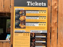 -怀托摩萤火虫洞