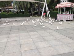 -厦门方特梦幻王国