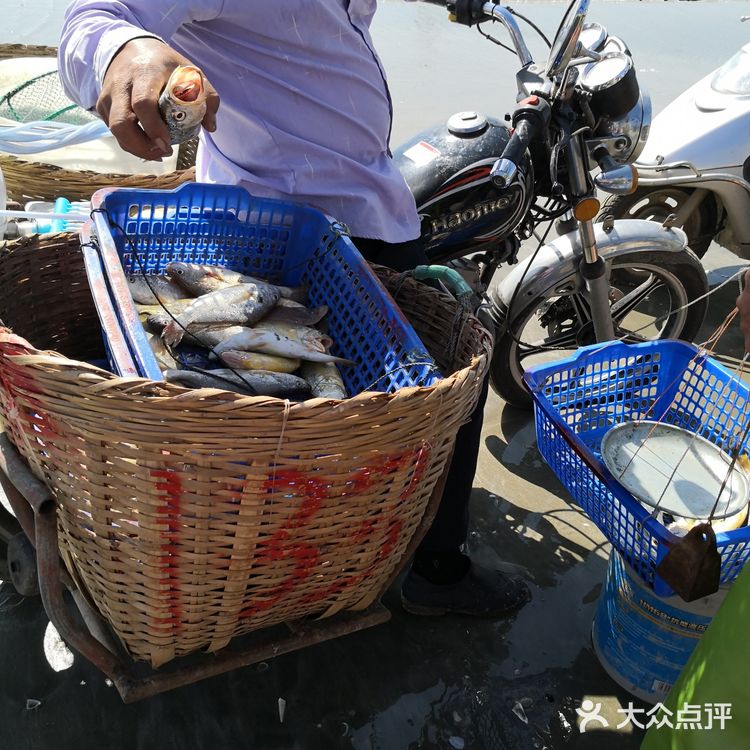 金厢赶海记