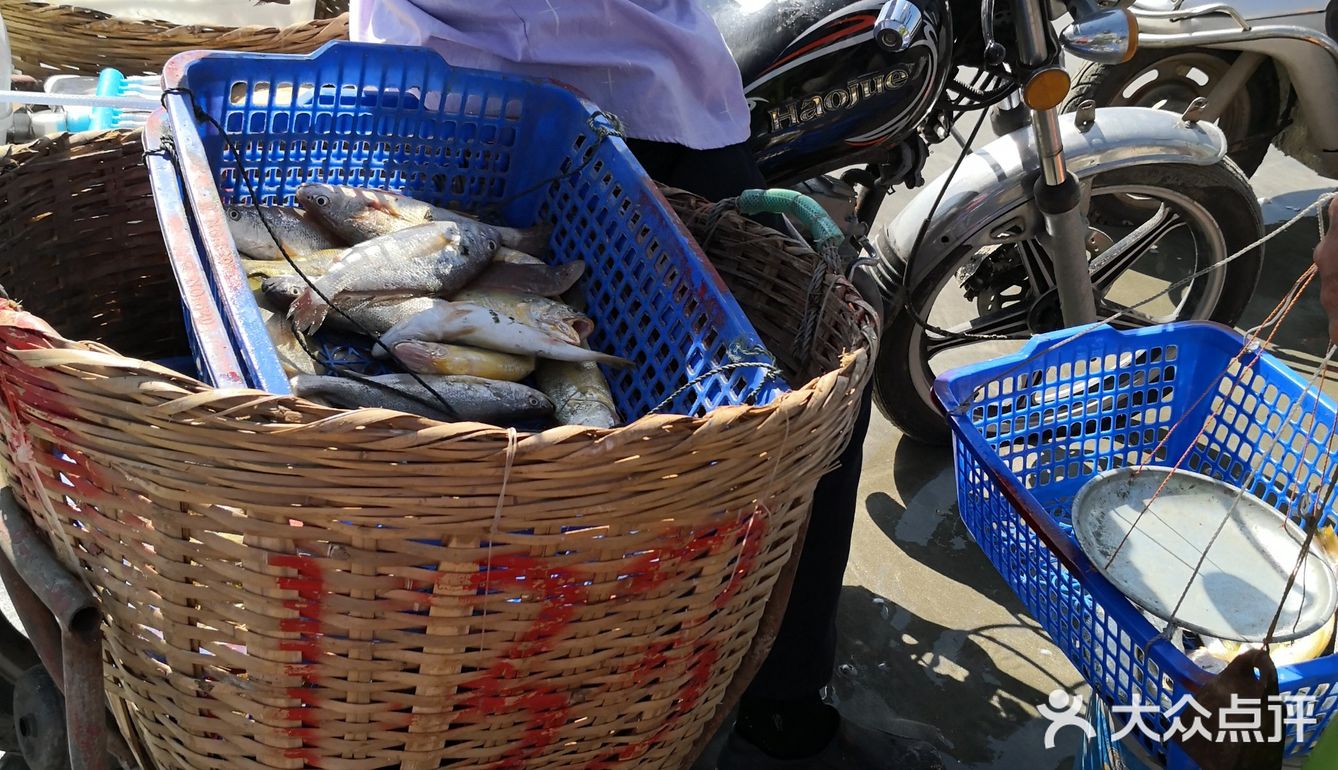 金厢赶海记
