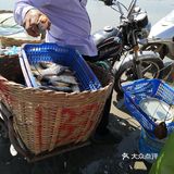 金厢赶海记