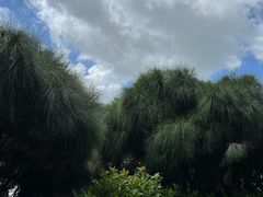 -深圳湾公园(南山区)