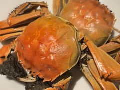 鲜活大闸蟹-金马门国际美食百汇(珞喻路店)