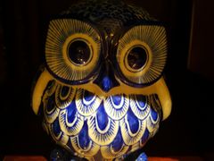 -阿五黄河大鲤鱼(纬三路店)