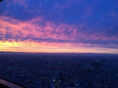 夕阳余晖-叙叙苑(东京歌剧城店)